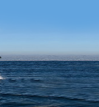 ARG Yacht Stabilisers